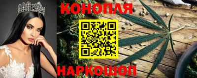 Альфа ПВП Малоярославец