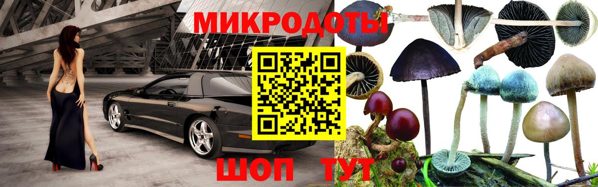 Галлюциногенные грибы Psilocybine cubensis  Вход с VPN  Сибай 